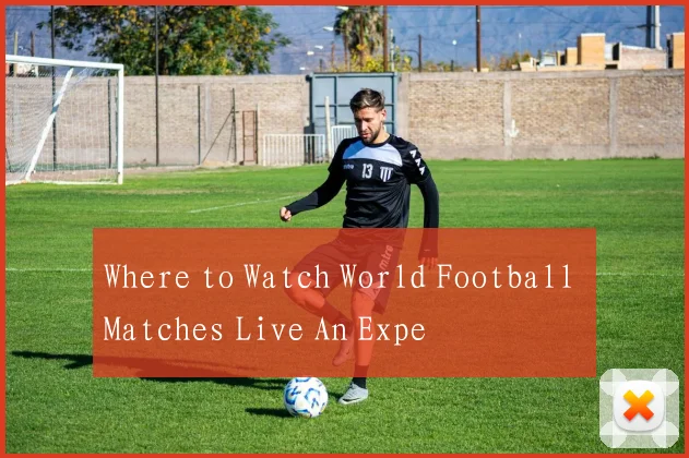 Where to Watch World Football Matches Live An Expe